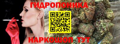 apvp Иваново