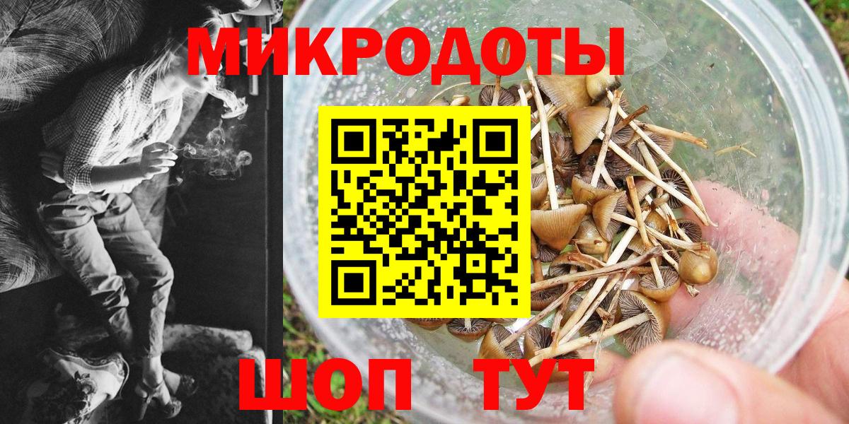 Псилоцибиновые грибы Magic Shrooms  Галлюциногенные грибы Psilocybine cubensis  Вход с VPN  Волхов 