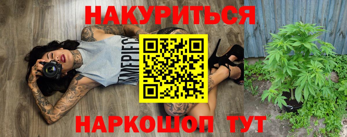 Волхов  Канабис THC 21%  Вход с VPN  Канабис OG Kush  Бошки Шишки сатива 